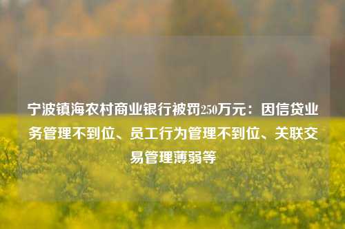 宁波镇海农村商业银行被罚250万元：因信贷业务管理不到位、员工行为管理不到位、关联交易管理薄弱等