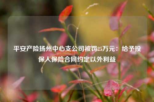 平安产险扬州中心支公司被罚25万元：给予投保人保险合同约定以外利益