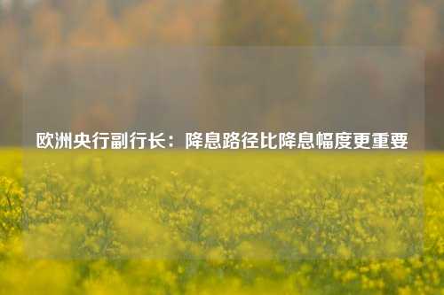 欧洲央行副行长：降息路径比降息幅度更重要