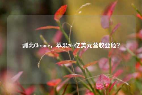 剥离Chrome，苹果200亿美元营收要危？