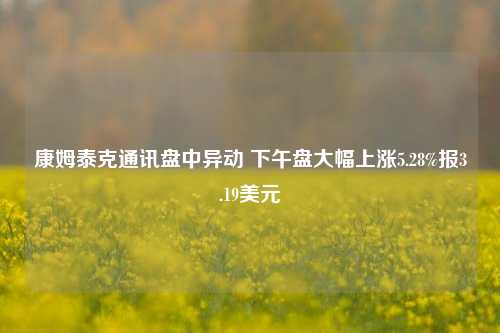 康姆泰克通讯盘中异动 下午盘大幅上涨5.28%报3.19美元