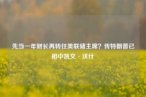 先当一年财长再转任美联储主席？传特朗普已相中凯文·沃什