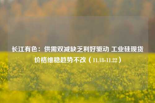 长江有色：供需双减缺乏利好驱动 工业硅现货价格维稳趋势不改（11.18-11.22）