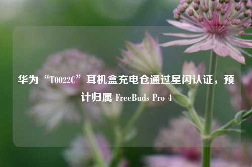 华为“T0022C”耳机盒充电仓通过星闪认证，预计归属 FreeBuds Pro 4