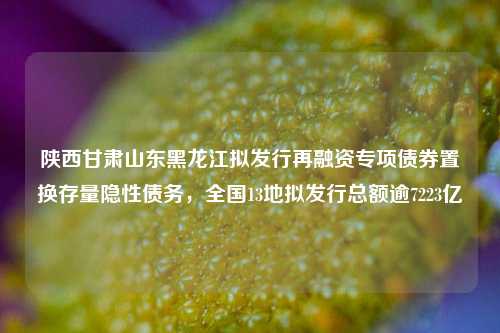 陕西甘肃山东黑龙江拟发行再融资专项债券置换存量隐性债务，全国13地拟发行总额逾7223亿