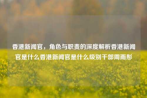 香港新闻官，角色与职责的深度解析香港新闻官是什么香港新闻官是什么级别干部周雨彤