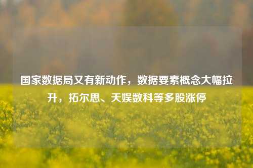 国家数据局又有新动作，数据要素概念大幅拉升，拓尔思、天娱数科等多股涨停