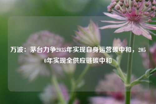 万波：茅台力争2035年实现自身运营碳中和，2050年实现全供应链碳中和