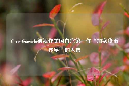 Chris Giacarlo被视作美国白宫第一任“加密货币沙皇”的人选