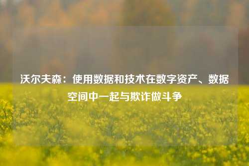 沃尔夫森：使用数据和技术在数字资产、数据空间中一起与欺诈做斗争