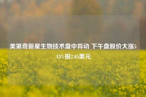 美第奇新星生物技术盘中异动 下午盘股价大涨5.13%报2.05美元