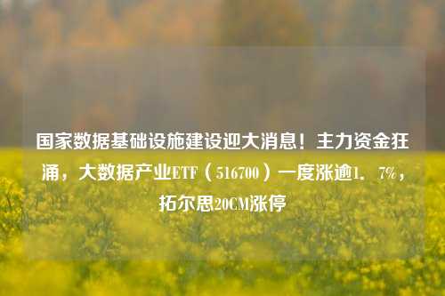 国家数据基础设施建设迎大消息！主力资金狂涌，大数据产业ETF（516700）一度涨逾1．7%，拓尔思20CM涨停