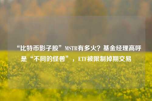 “比特币影子股”MSTR有多火？基金经理高呼是“不同的怪兽”，ETF被限制掉期交易