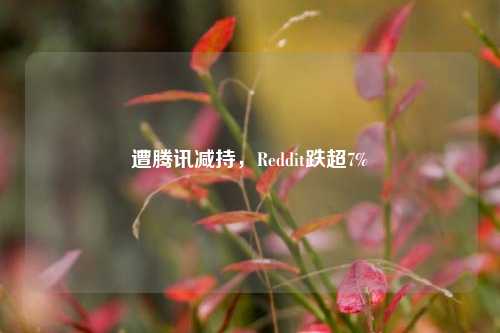 遭腾讯减持，Reddit跌超7%