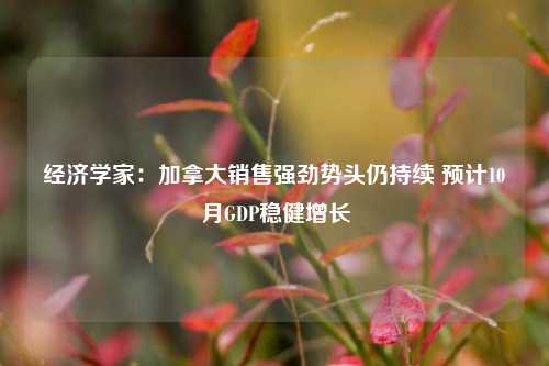 经济学家：加拿大销售强劲势头仍持续 预计10月GDP稳健增长