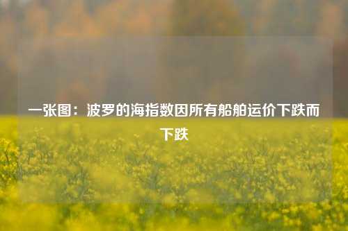 一张图：波罗的海指数因所有船舶运价下跌而下跌