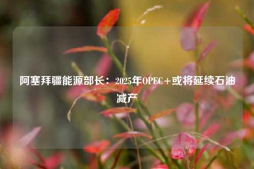 阿塞拜疆能源部长：2025年OPEC+或将延续石油减产-第1张图片-香港亚特