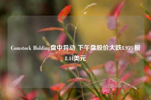 Comstock Holding盘中异动 下午盘股价大跌8.95%报8.44美元-第1张图片-香港亚特