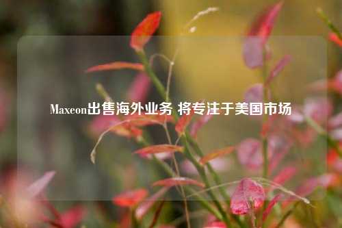 Maxeon出售海外业务 将专注于美国市场-第1张图片-香港亚特