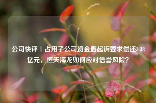 公司快评︱占用子公司资金遭起诉要求偿还3.38亿元，恒天海龙如何应对信誉风险？-第1张图片-香港亚特