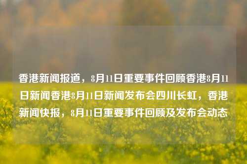 香港新闻报道，8月11日重要事件回顾香港8月11日新闻香港8月11日新闻发布会四川长虹，香港新闻快报，8月11日重要事件回顾及发布会动态，8月11日香港新闻快报及重要事件回顾发布会动态-第1张图片-香港亚特