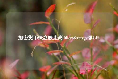 加密货币概念股走高 MicroStrategy涨8.4%-第1张图片-香港亚特