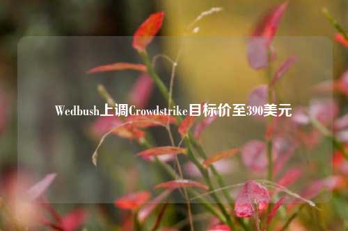 Wedbush上调Crowdstrike目标价至390美元-第1张图片-香港亚特