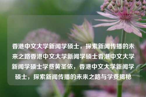 香港中文大学新闻学硕士，探索新闻传播的未来之路香港中文大学新闻学硕士香港中文大学新闻学硕士学费黄圣依，香港中文大学新闻学硕士，探索新闻传播的未来之路与学费揭秘，香港中文大学新闻学硕士，探索新闻传播未来之路与学费揭秘-第1张图片-香港亚特