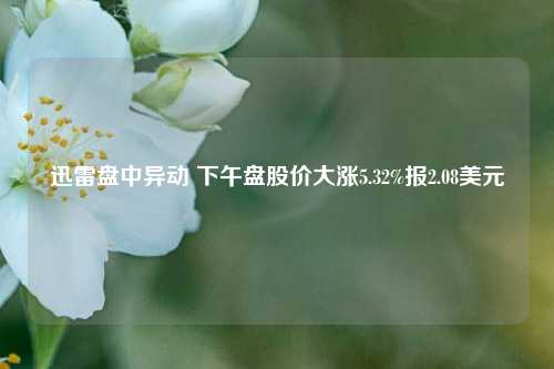 迅雷盘中异动 下午盘股价大涨5.32%报2.08美元-第1张图片-香港亚特