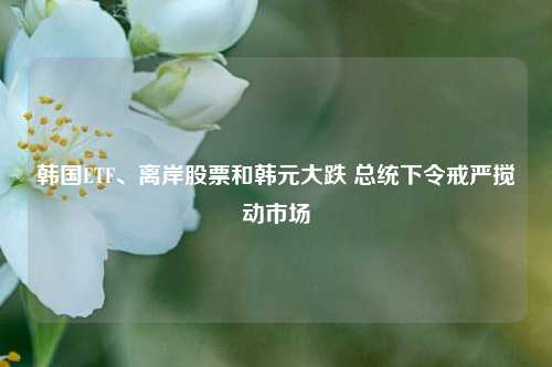 韩国ETF、离岸股票和韩元大跌 总统下令戒严搅动市场-第1张图片-香港亚特