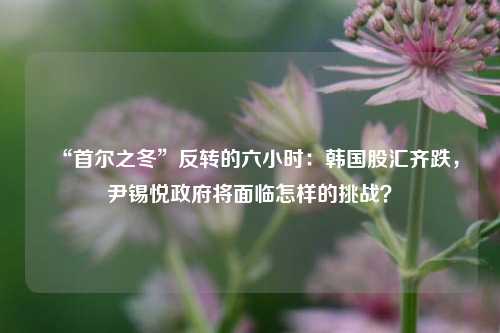 “首尔之冬”反转的六小时：韩国股汇齐跌，尹锡悦政府将面临怎样的挑战？-第1张图片-香港亚特