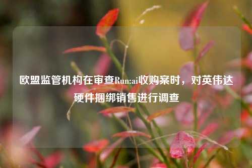 欧盟监管机构在审查Run:ai收购案时，对英伟达硬件捆绑销售进行调查-第1张图片-香港亚特