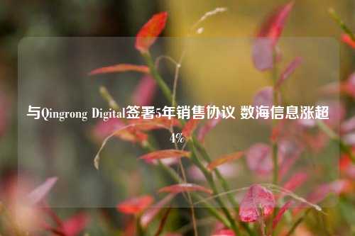 与Qingrong Digital签署5年销售协议 数海信息涨超4%-第1张图片-香港亚特