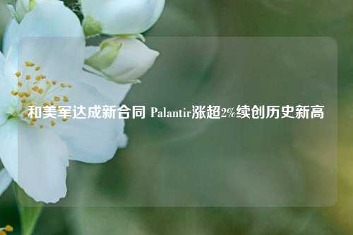 和美军达成新合同 Palantir涨超2%续创历史新高-第1张图片-香港亚特