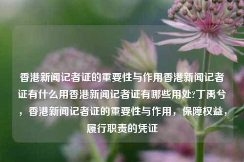 香港新闻记者证的重要性与作用香港新闻记者证有什么用香港新闻记者证有哪些用处?丁禹兮，香港新闻记者证的重要性与作用，保障权益，履行职责的凭证，香港新闻记者证，权益保障与职责履行的凭证-第1张图片-香港亚特