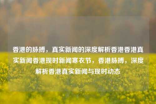 香港的脉搏，真实新闻的深度解析香港香港真实新闻香港现时新闻寒衣节，香港脉搏，深度解析香港真实新闻与现时动态，香港脉搏，深度解析香港真实新闻与现时动态-第1张图片-香港亚特