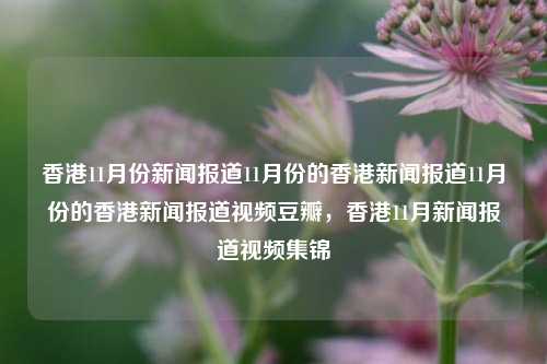 香港11月份新闻报道11月份的香港新闻报道11月份的香港新闻报道视频豆瓣，香港11月新闻报道视频集锦，11月份香港新闻报道集锦视频-第1张图片-香港亚特