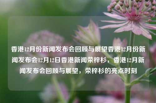 香港12月份新闻发布会回顾与展望香港12月份新闻发布会12月12日香港新闻荣梓杉，香港12月新闻发布会回顾与展望，荣梓杉的亮点时刻，香港12月新闻发布会回顾与展望，荣梓杉的亮点时刻-第1张图片-香港亚特