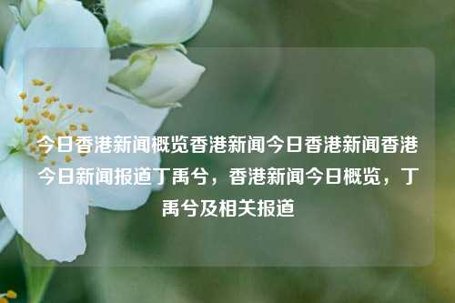 今日香港新闻概览香港新闻今日香港新闻香港今日新闻报道丁禹兮，香港新闻今日概览，丁禹兮及相关报道，香港新闻今日概览，丁禹兮及相关报道-第1张图片-香港亚特