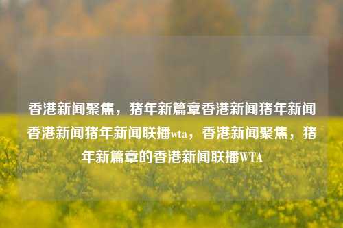 香港新闻聚焦，猪年新篇章香港新闻猪年新闻香港新闻猪年新闻联播wta，香港新闻聚焦，猪年新篇章的香港新闻联播WTA，香港猪年新闻联播WTA聚焦报道-第1张图片-香港亚特