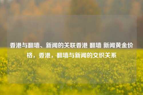 香港与翻墙、新闻的关联香港 翻墙 新闻黄金价格，香港，翻墙与新闻的交织关系，香港翻墙与新闻黄金价格的交织关系探讨-第1张图片-香港亚特