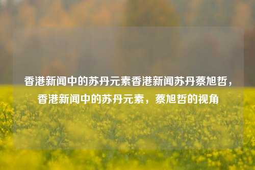 香港新闻中的苏丹元素香港新闻苏丹蔡旭哲，香港新闻中的苏丹元素，蔡旭哲的视角-第1张图片-香港亚特