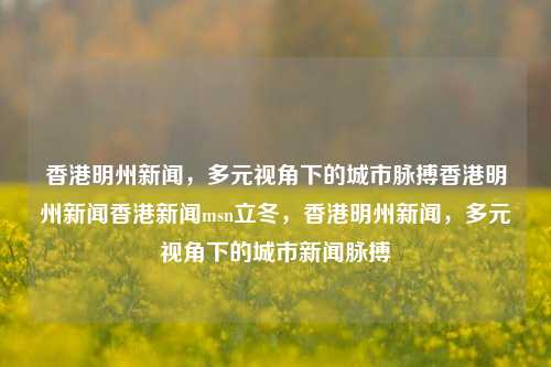 香港明州新闻，多元视角下的城市脉搏香港明州新闻香港新闻msn立冬，香港明州新闻，多元视角下的城市新闻脉搏，香港明州新闻，多元视角下的城市脉搏探索-第1张图片-香港亚特