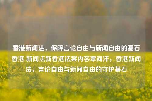 香港新闻法，保障言论自由与新闻自由的基石香港 新闻法新香港法案内容覃海洋，香港新闻法，言论自由与新闻自由的守护基石，香港新闻法，言论自由与新闻自由的守护基石-第1张图片-香港亚特