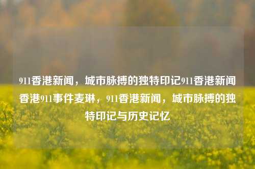 911香港新闻，城市脉搏的独特印记911香港新闻香港911事件麦琳，911香港新闻，城市脉搏的独特印记与历史记忆，911香港事件，城市脉搏的独特印记与历史记忆-第1张图片-香港亚特