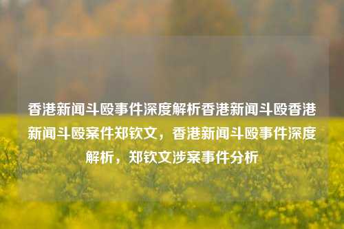 香港新闻斗殴事件深度解析香港新闻斗殴香港新闻斗殴案件郑钦文，香港新闻斗殴事件深度解析，郑钦文涉案事件分析，香港新闻斗殴事件深度解析，郑钦文涉案事件分析-第1张图片-香港亚特