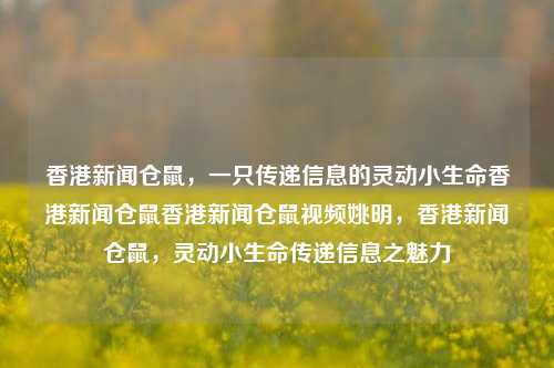 香港新闻仓鼠，一只传递信息的灵动小生命香港新闻仓鼠香港新闻仓鼠视频姚明，香港新闻仓鼠，灵动小生命传递信息之魅力，香港新闻仓鼠，灵动小生命传递信息的魅力-第1张图片-香港亚特