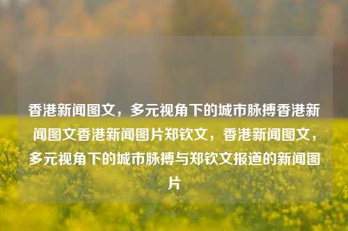 香港新闻图文，多元视角下的城市脉搏香港新闻图文香港新闻图片郑钦文，香港新闻图文，多元视角下的城市脉搏与郑钦文报道的新闻图片，香港新闻多元视角下的郑钦文报道与城市脉搏-第1张图片-香港亚特