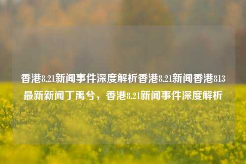 香港8.21新闻事件深度解析香港8.21新闻香港813最新新闻丁禹兮，香港8.21新闻事件深度解析，香港8.21新闻事件深度解析-第1张图片-香港亚特