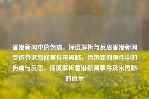 香港新闻中的伤痛，深度解析与反思香港新闻受伤香港新闻事件宋再临，香港新闻事件中的伤痛与反思，深度解析香港新闻事件及宋再临的启示，香港新闻事件中的伤痛与反思，深度解析宋再临的启示-第1张图片-香港亚特